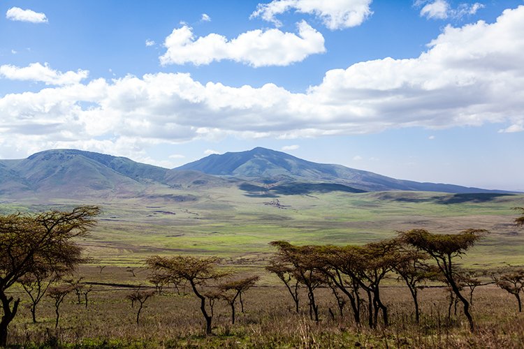 TZA ARU Ngorongoro 2016DEC23 036